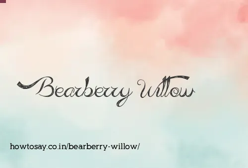 Bearberry Willow