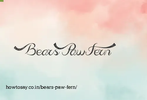 Bears Paw Fern
