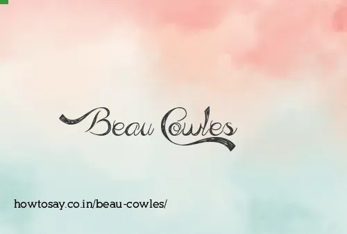 Beau Cowles