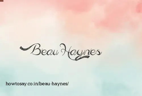 Beau Haynes