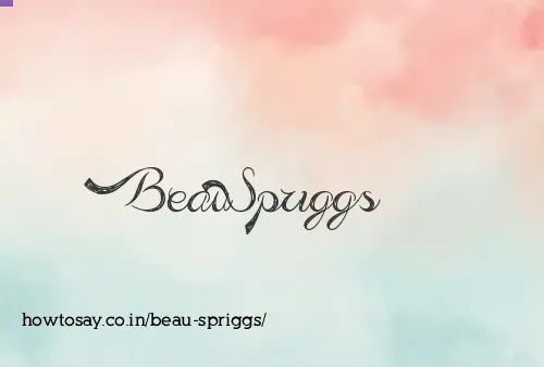 Beau Spriggs