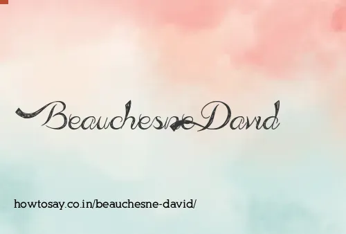 Beauchesne David