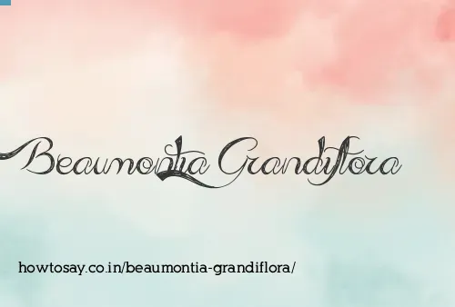 Beaumontia Grandiflora