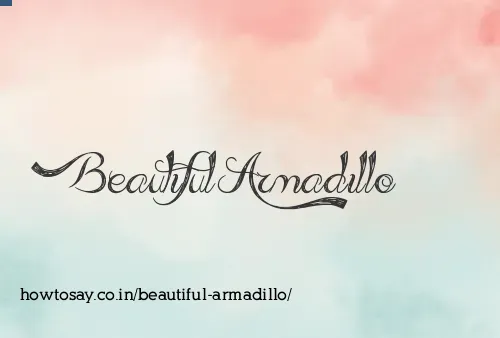 Beautiful Armadillo