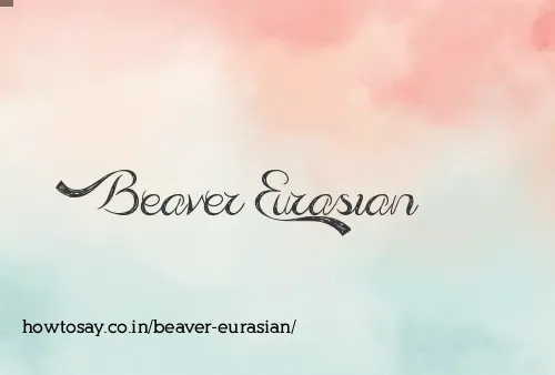Beaver Eurasian