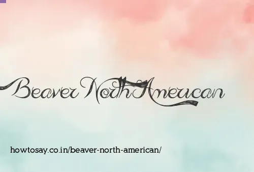 Beaver North American
