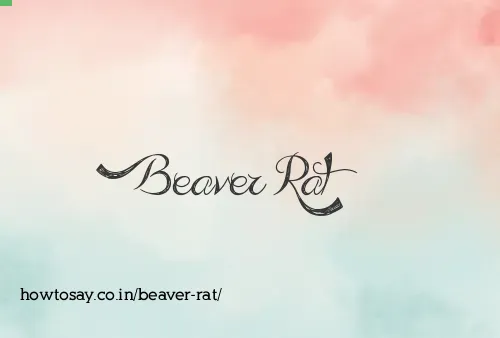 Beaver Rat