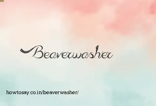 Beaverwasher
