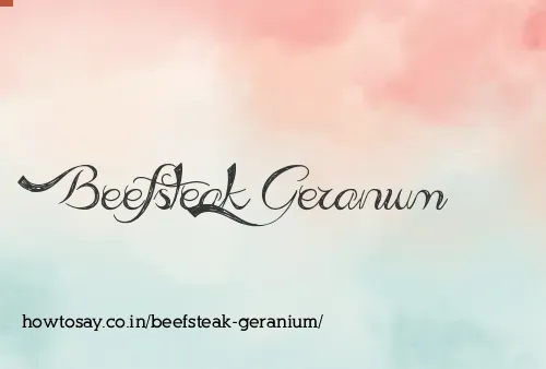 Beefsteak Geranium