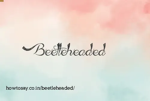 Beetleheaded