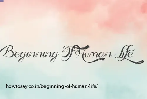 Beginning Of Human Life