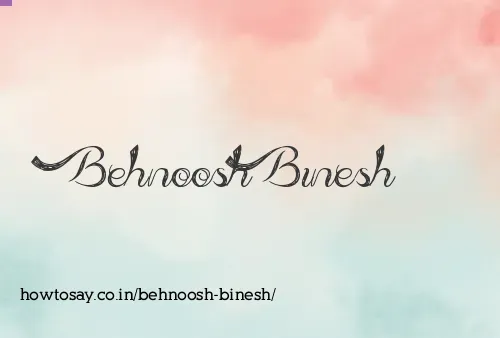 Behnoosh Binesh