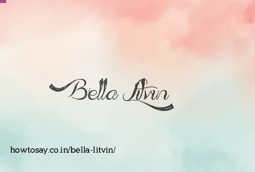 Bella Litvin