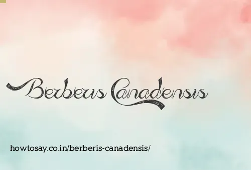 Berberis Canadensis