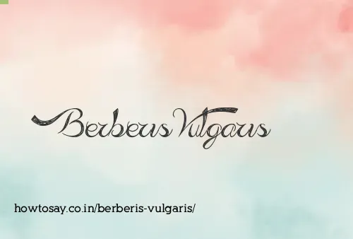 Berberis Vulgaris
