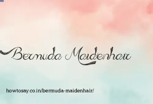 Bermuda Maidenhair