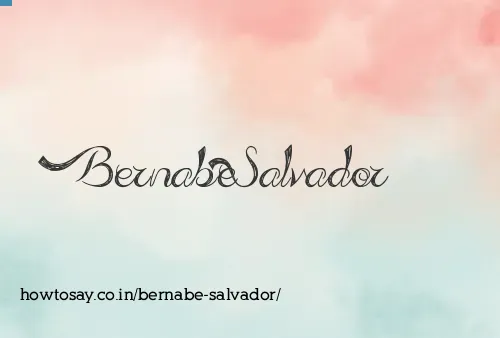 Bernabe Salvador