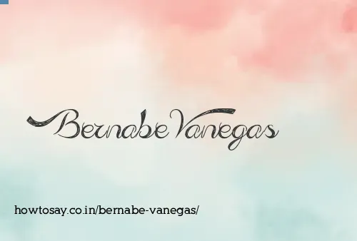 Bernabe Vanegas