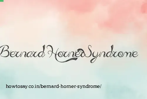 Bernard Horner Syndrome