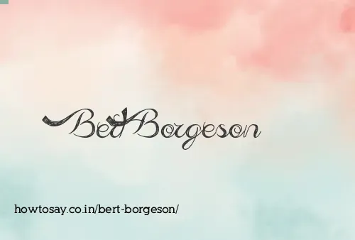 Bert Borgeson
