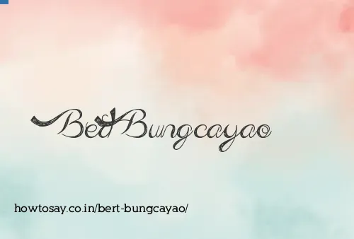 Bert Bungcayao