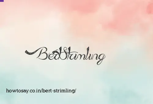 Bert Strimling