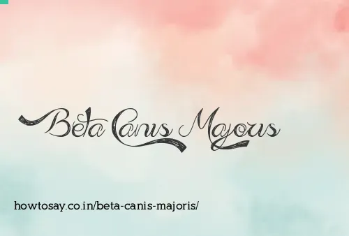Beta Canis Majoris