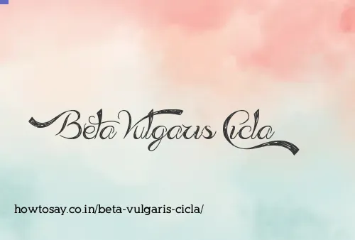 Beta Vulgaris Cicla