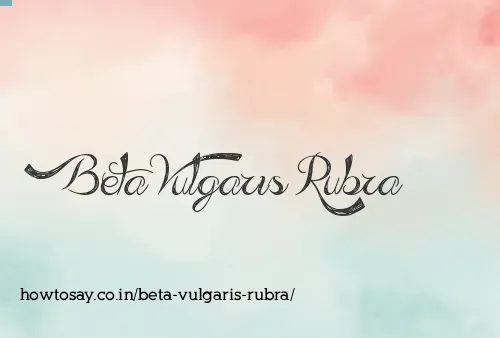 Beta Vulgaris Rubra