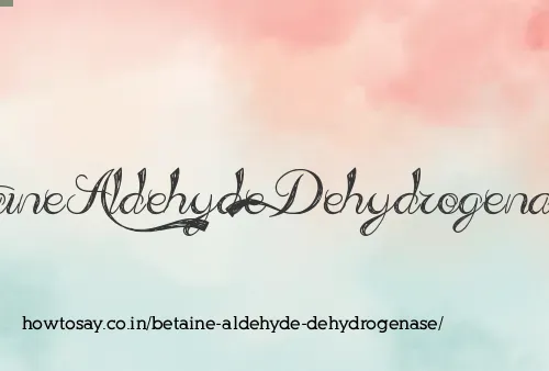 Betaine Aldehyde Dehydrogenase