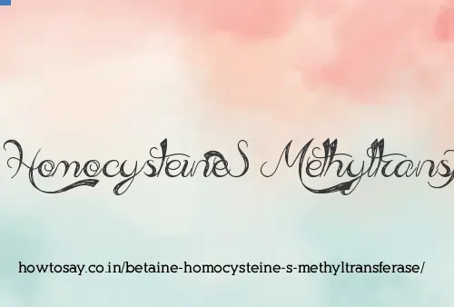 Betaine Homocysteine S Methyltransferase