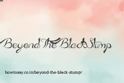 Beyond The Black Stump