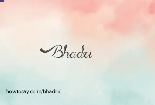 Bhadri