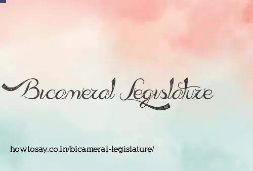 Bicameral Legislature