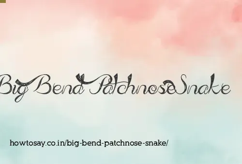 Big Bend Patchnose Snake