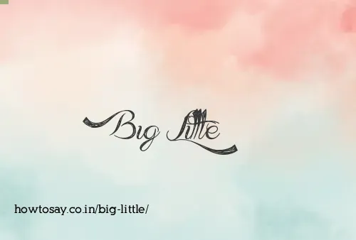 Big Little