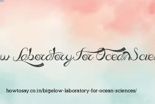 Bigelow Laboratory For Ocean Sciences