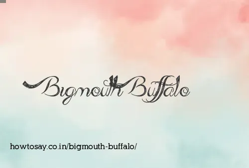 Bigmouth Buffalo