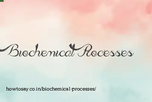 Biochemical Processes