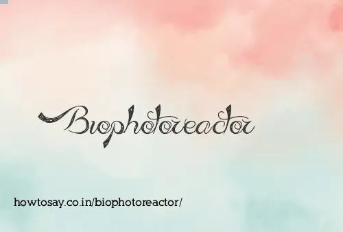 Biophotoreactor