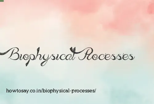 Biophysical Processes