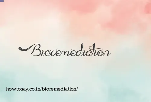 Bioremediation