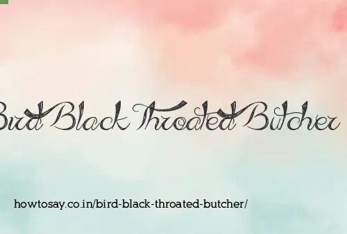 Bird Black Throated Butcher