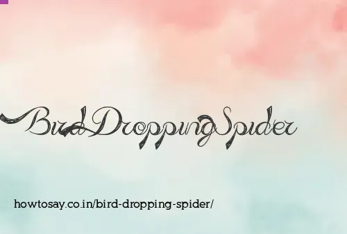 Bird Dropping Spider