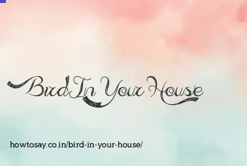 Bird In Your House