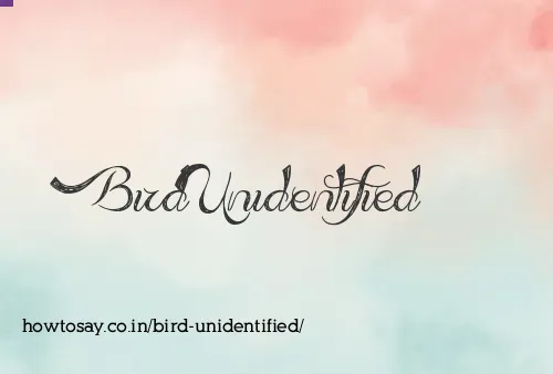 Bird Unidentified