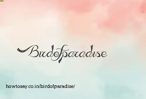 Birdofparadise