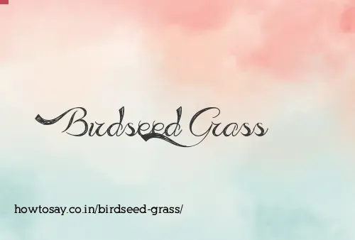 Birdseed Grass