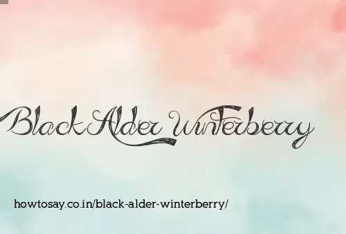 Black Alder Winterberry