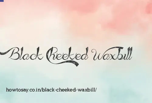 Black Cheeked Waxbill